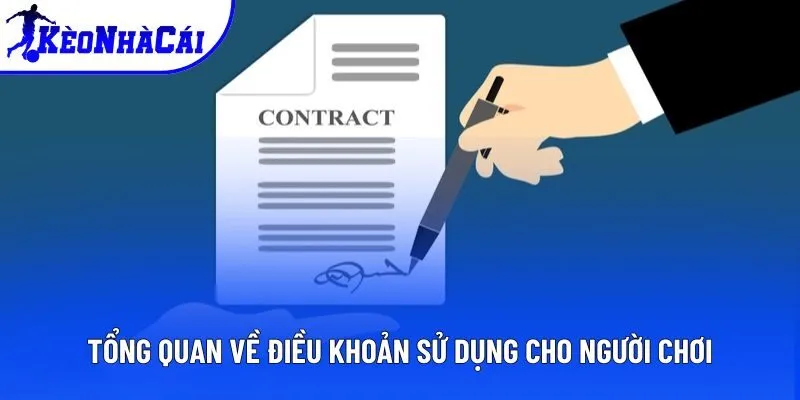 Tổng quan về điều khoản sử dụng cho người chơi Tổng quan về điều khoản sử dụng cho người chơi